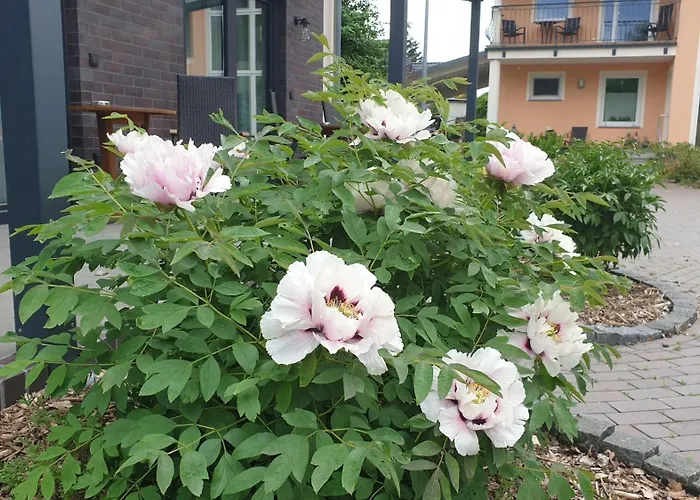 Ferienapartments Elsternest